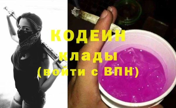 прущий лед Новозыбков