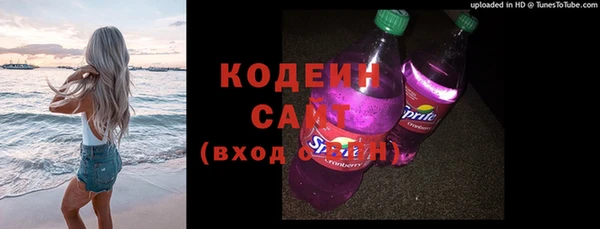 прущий лед Новозыбков