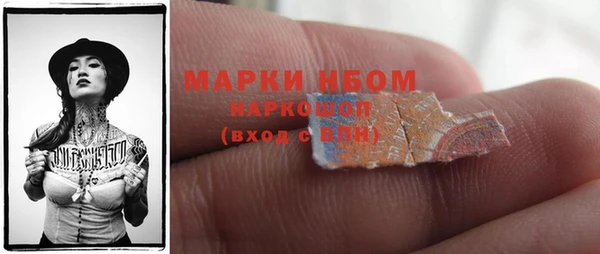 прущий лед Новозыбков