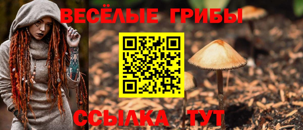 Псилоцибиновые грибы мухоморы  Галлюциногенные грибы Psilocybe  Вход с VPN  Абинск 