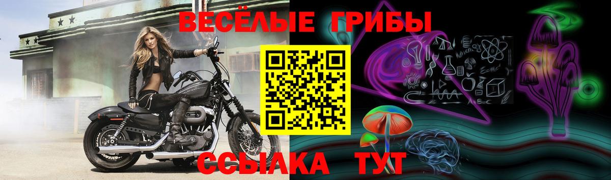 Галлюциногенные грибы прущие грибы Абинск